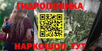 ПСИЛОЦИБИНОВЫЕ ГРИБЫ Северобайкальск